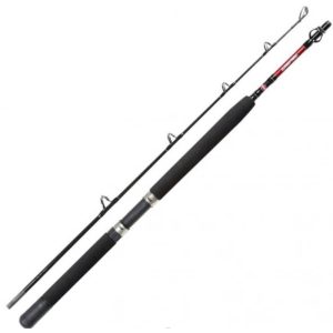 Penn | Warfare | Boat 602 | 50lb