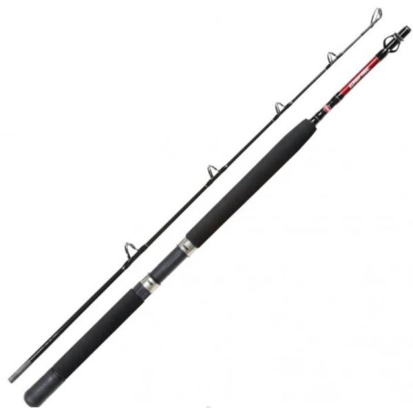 Penn | Warfare | Boat 602 | 50lb