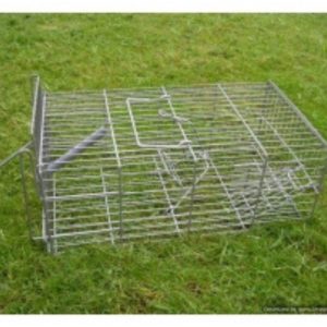 Pest Clear | Family Rat Cage Trap
