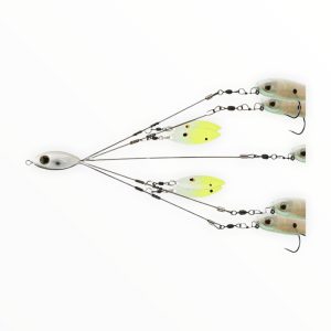 Picasso School-E-Rig Bait Ball