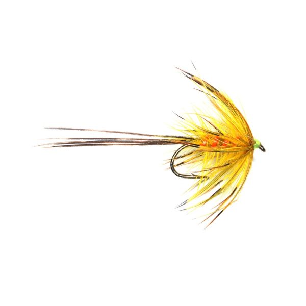 PICRIC OLIVE MAY