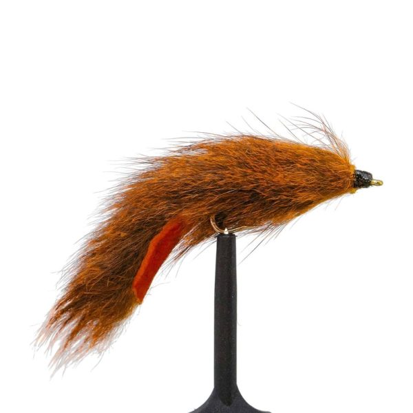 Pine Squirrel Orange