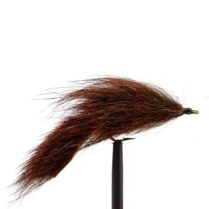 Pine Squirrel Rust Brown