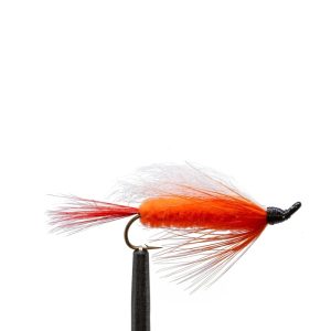 Polar Shrimp