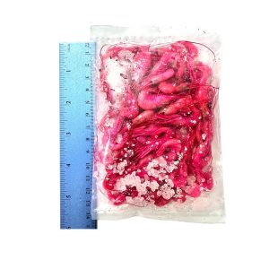 Preserved Bait Prawns For Salmon Fishing  – Pointer