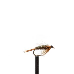 Prince Nymph
