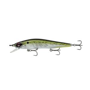 Provoke Series – American Shad