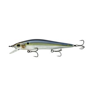 Provoke Series – Chrome Threadfin