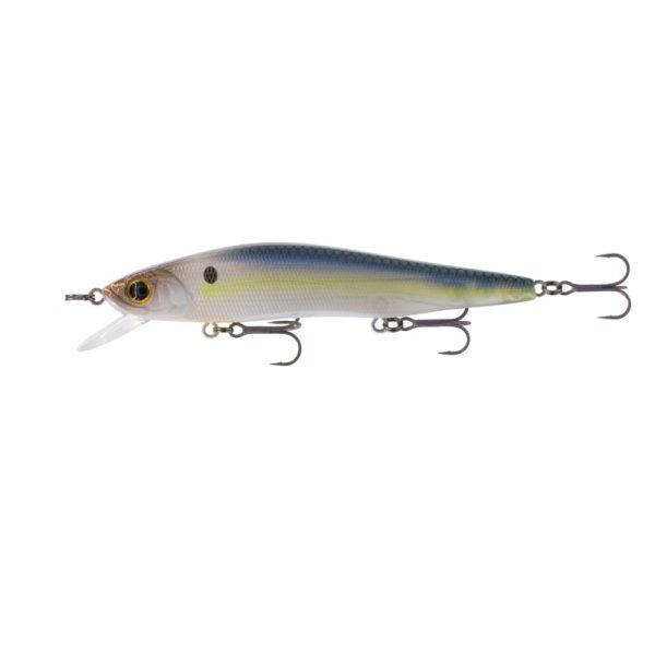 Provoke Series – Live Shad