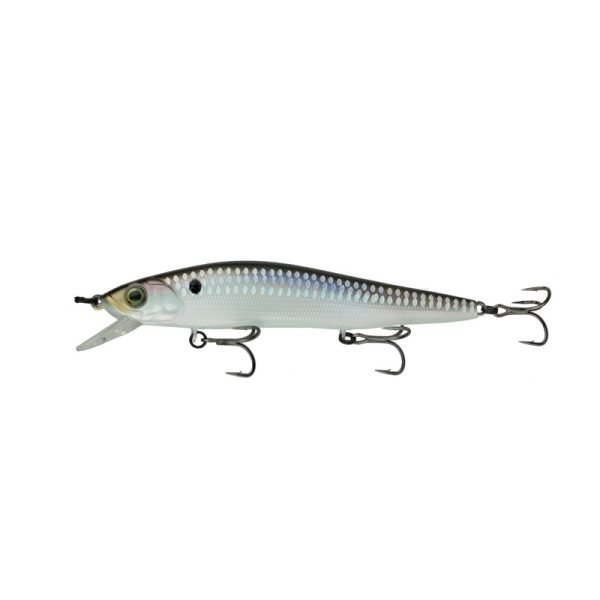 Provoke Series – Shad Scales