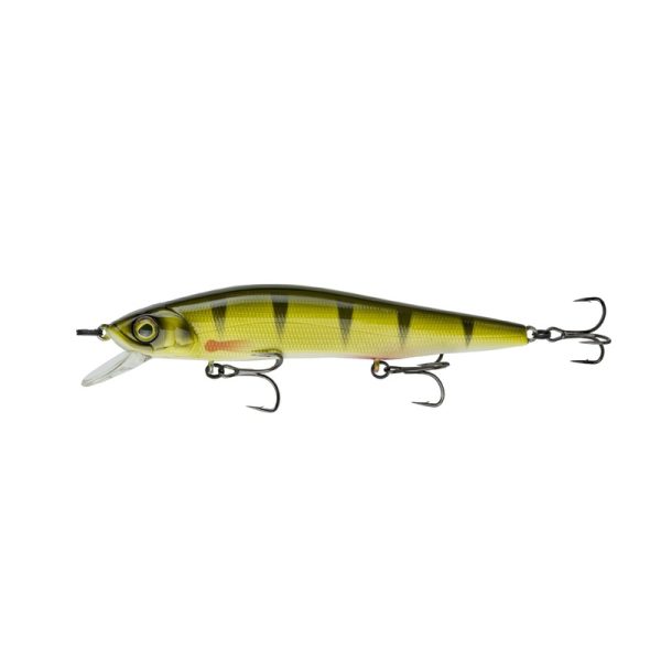 Provoke Series – Yellow Perch