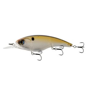 Pump 125 Shallow – Ghost Gizzard