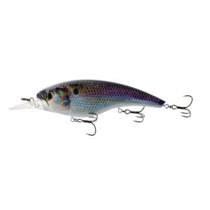 Pump 125 Shallow – Live Gizzard Flash