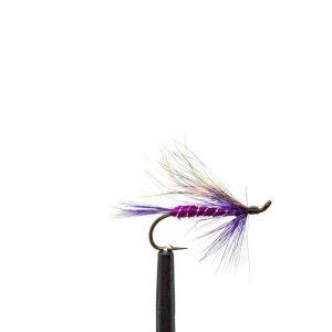 Purple Peril