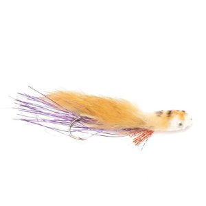 Purple Sculpin