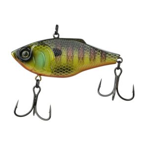 Quake – Bluegill Fire