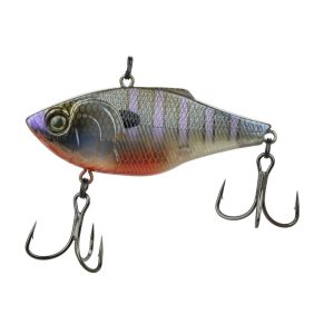 Quake – Bluegill Spawn