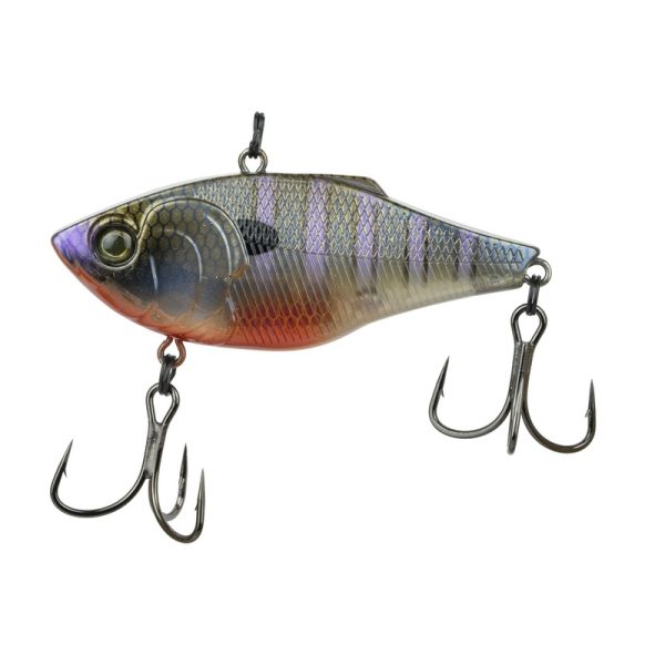 Quake – Bluegill Spawn
