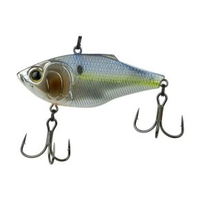 Quake – Chrome Threadfin