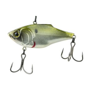 Quake – Shad Hammer