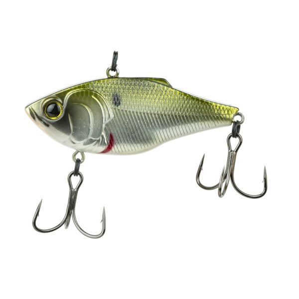 Quake – Shad Hammer