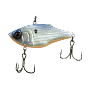Quake – Shad Surge