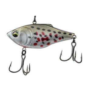 Quake THUD – Clayton’s Shiner