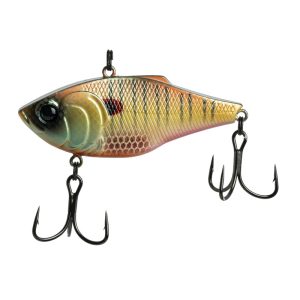 Quake THUD – Spring Bluegill