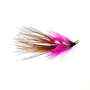 QUINN SHRIMP – TREBLE