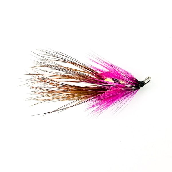 QUINN SHRIMP – TREBLE