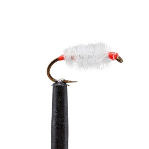 Ray Charles Sow Bug