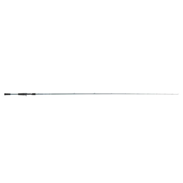 RAYFIN CASTING