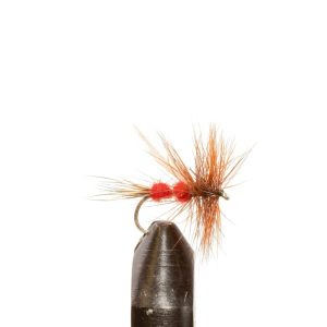 Red Ant
