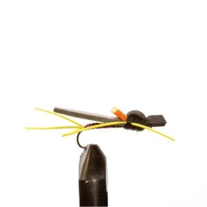 Red Black Flying Ant