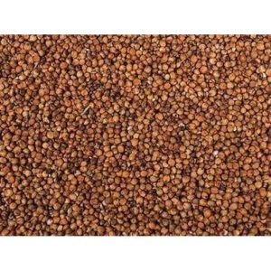Red Dari (Dry)
