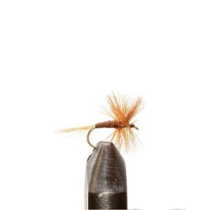 Red Quill