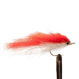 Red Shad