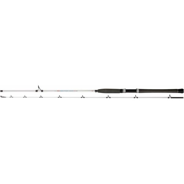 Rhino | Power Wizard Rod | 2 SEC | 2.40m | 40-100g