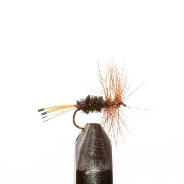 Rio Grande King