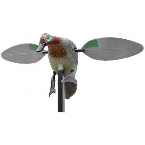 Rotor Rotary Winged Teal Duck