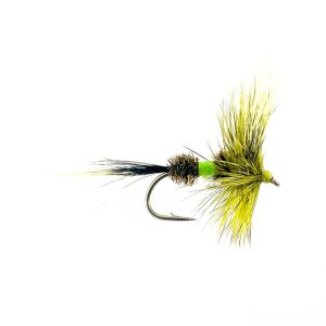 ROYAL WULFF – HOT OLIVE
