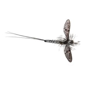 RW DANICA MALE – SPENT