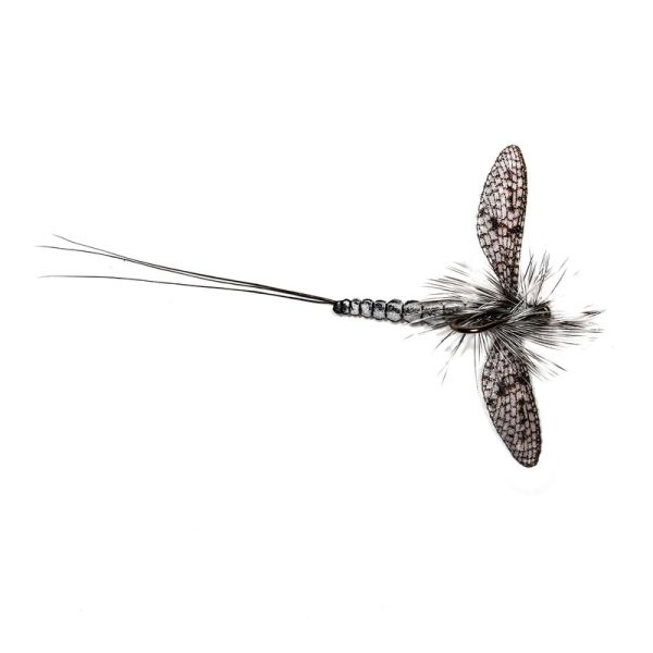RW DANICA MALE – SPENT