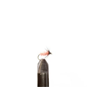 Salcha Pink