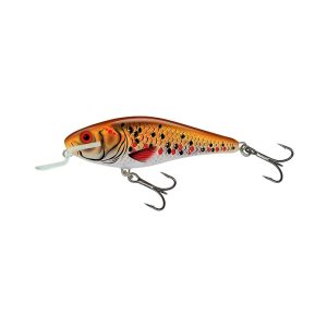 Salmo Executor