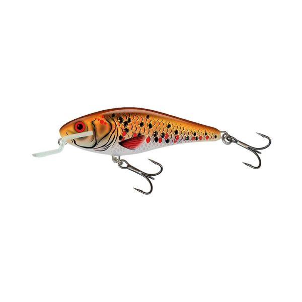 Salmo Executor