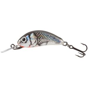 Salmo Hornet Sinking 2.5cm