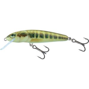 Salmo Minnow Floating 6cm