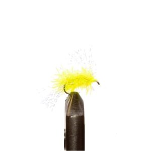 Salmon Candy Chartreuse