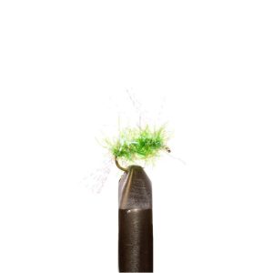 Salmon Candy Kelly Green